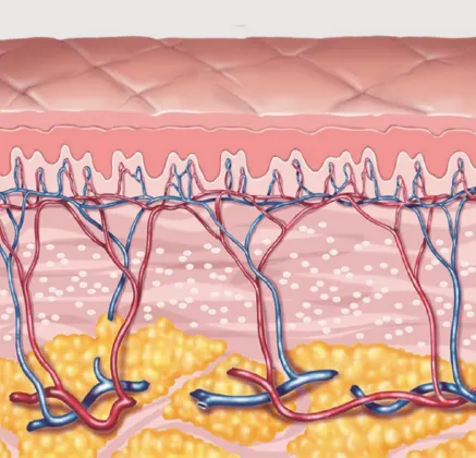 ターンオーバーや創傷治癒反応により症状が改善